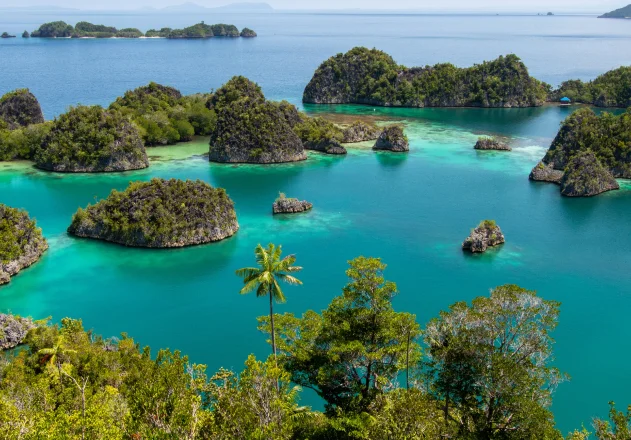 Raja Ampat Islands: A Paradise for Nature Enthusiasts