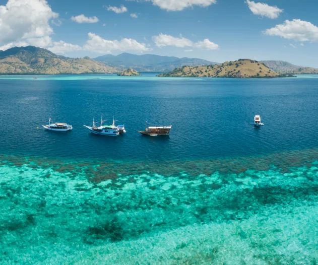 Best Time To Visit For Komodo Diving