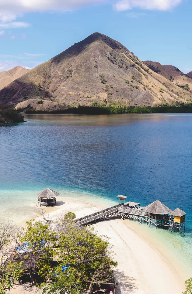 Essential Tips for a Memorable Komodo Liveaboard Experience