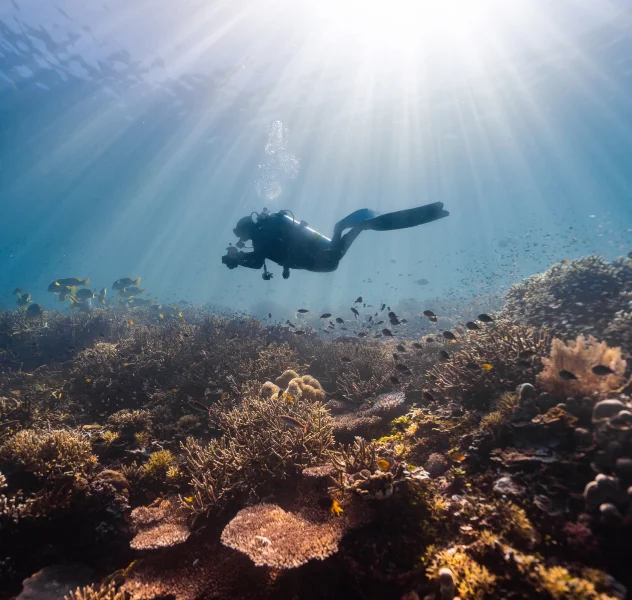 Scuba Diving In Indonesia